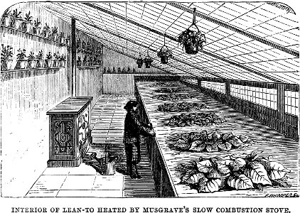 Amateurs Greenhouse Conservatory-0046