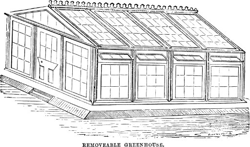 Amateurs Greenhouse Conservatory-0054. Free illustration for personal and commercial use.