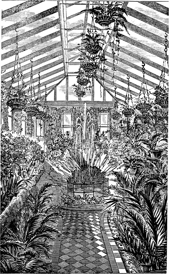 Amateurs Greenhouse Conservatory-0299