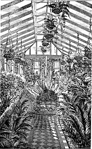Amateurs Greenhouse Conservatory-0299