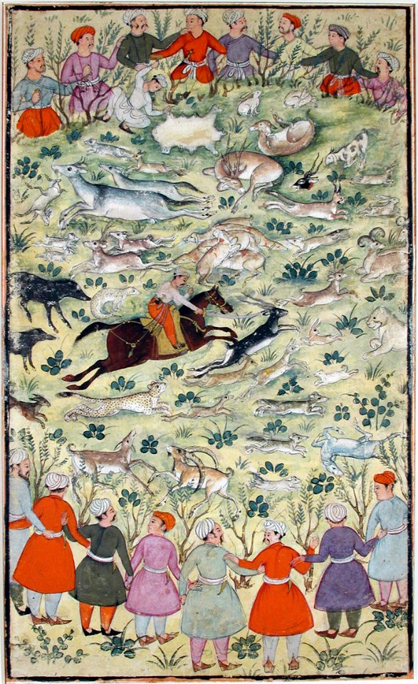 Babur kills blackbuck in a hunting circle (6125107512)