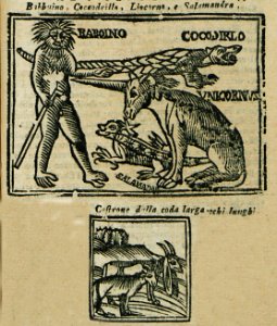 Babuino, Cocodrilo, Liscorno e Salamandra - Bianco Noe - 1600