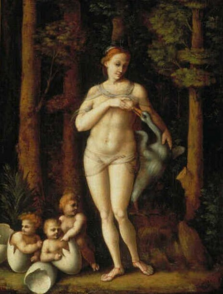 Bacchiacca - Leda en de zwaan - 2539 (OK) - Museum Boijmans Van Beuningen