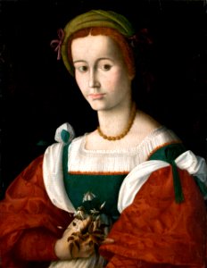 Bacchiacca - Portrait of a A Lady with a Nosegay