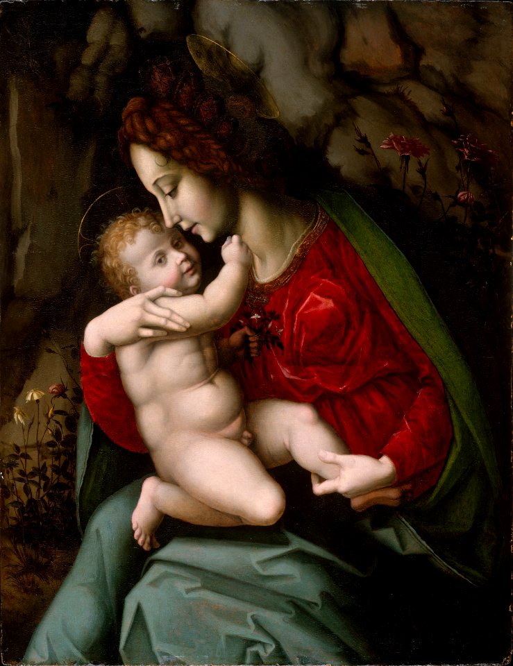 Bacchiacca - Madonna col Bambino (Metropolitan Museum of Art)