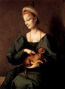 Bacchiacca - Woman with a Cat - WGA1107. Free illustration for personal and commercial use.