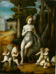 Bacchiacca - Leda e il cigno (Metropolitan Museum of Art)