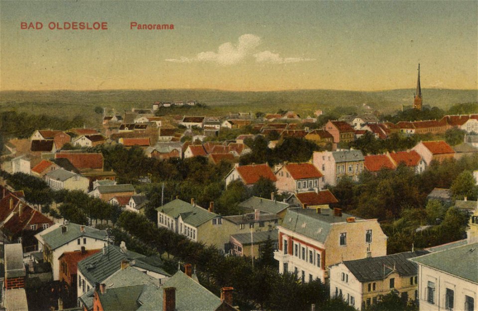Bad Oldesloe, Schleswig-Holstein - Panorama (Zeno Ansichtskarten)