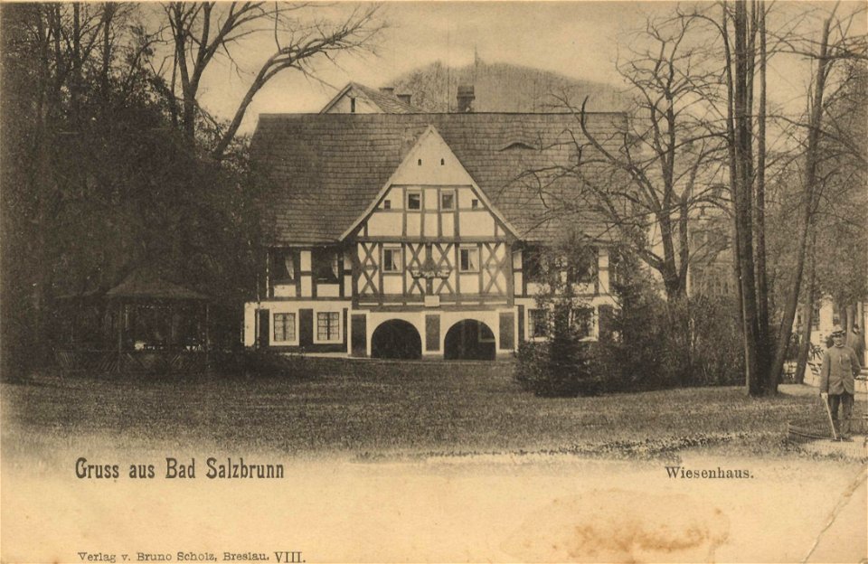 Bad Salzbrunn, Schlesien - Wiesenhaus (Zeno Ansichtskarten)