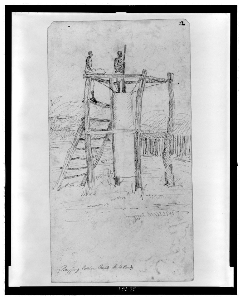 Bagging cotton, Reid's salt ponds LCCN2006685093