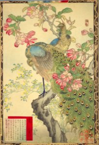 Bairei kachō gafu, Spring 03, Hall crabapple and peafowls