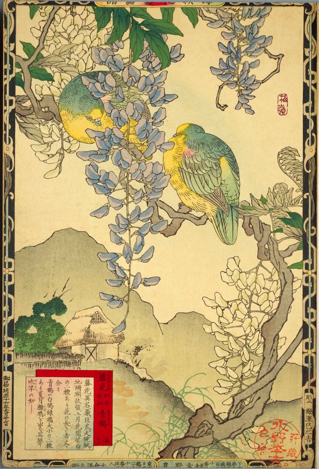 Bairei kachō gafu, Spring 12, Japanese wisteria and white-bellied green pigeons