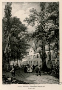 Bains Salut à Bagnères Bigorre (Hautes Pyrénées) - Fonds Ancely - B315556101 A JACOTTET 1 049