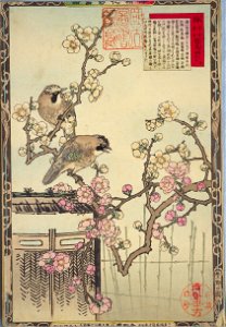 Bairei kachō gafu, Spring 01, plum blossoms and jays