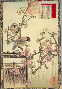 Bairei kachō gafu, Spring 01, plum blossoms and jays. Free illustration for personal and commercial use.