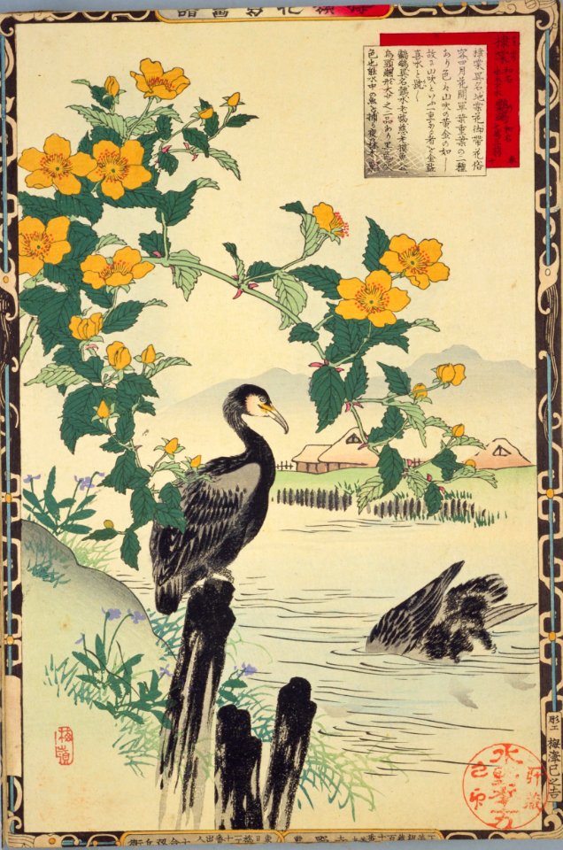 Bairei kachō gafu, Spring 10, Japanese kerria and cormorants