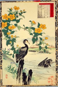 Bairei kachō gafu, Spring 10, Japanese kerria and cormorants. Free illustration for personal and commercial use.