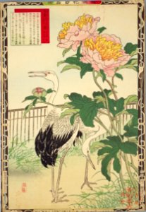 Bairei kachō gafu, Spring 13, Chinese peony and cranes. Free illustration for personal and commercial use.