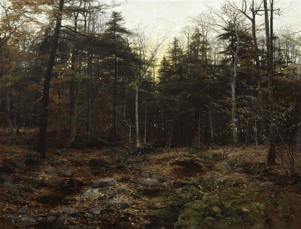 Woodland Scene by William Bliss Baker, 1885