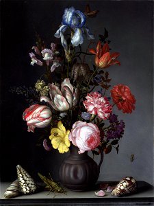 Balthasar van der Ast - Flowers in a Vase with Shells and Insects - WGA1042. Free illustration for personal and commercial use.