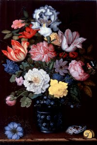 Balthasar van der Ast - Floral Still Life with Shells - 172-1955 - Saint Louis Art Museum