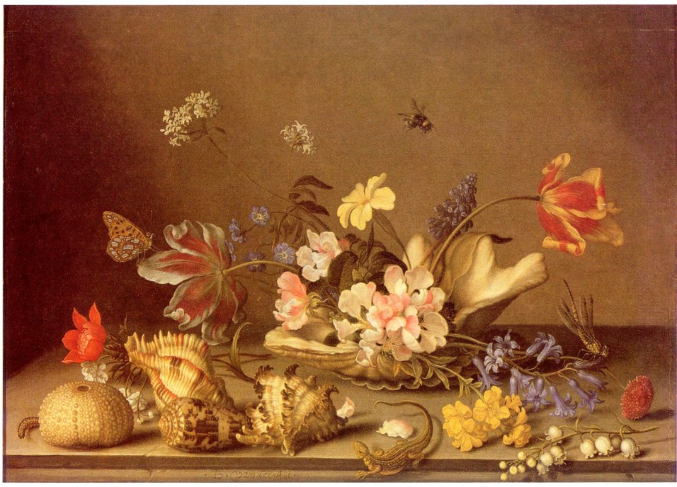 Balthasar van der Ast - Fruit, Insects and Shells