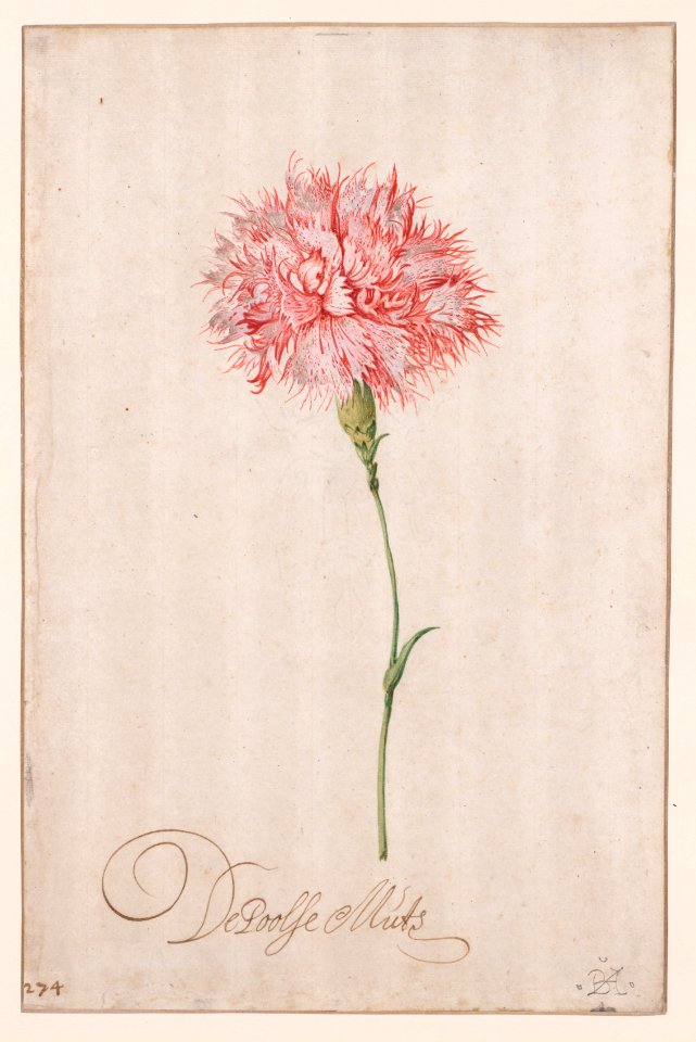 Balthasar van der Ast (Dutch, 1593-94-1657) - De Poolse Muts - 2019.1 - Cleveland Museum of Art