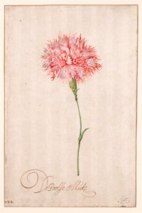 Balthasar van der Ast (Dutch, 1593-94-1657) - De Poolse Muts - 2019.1 - Cleveland Museum of Art