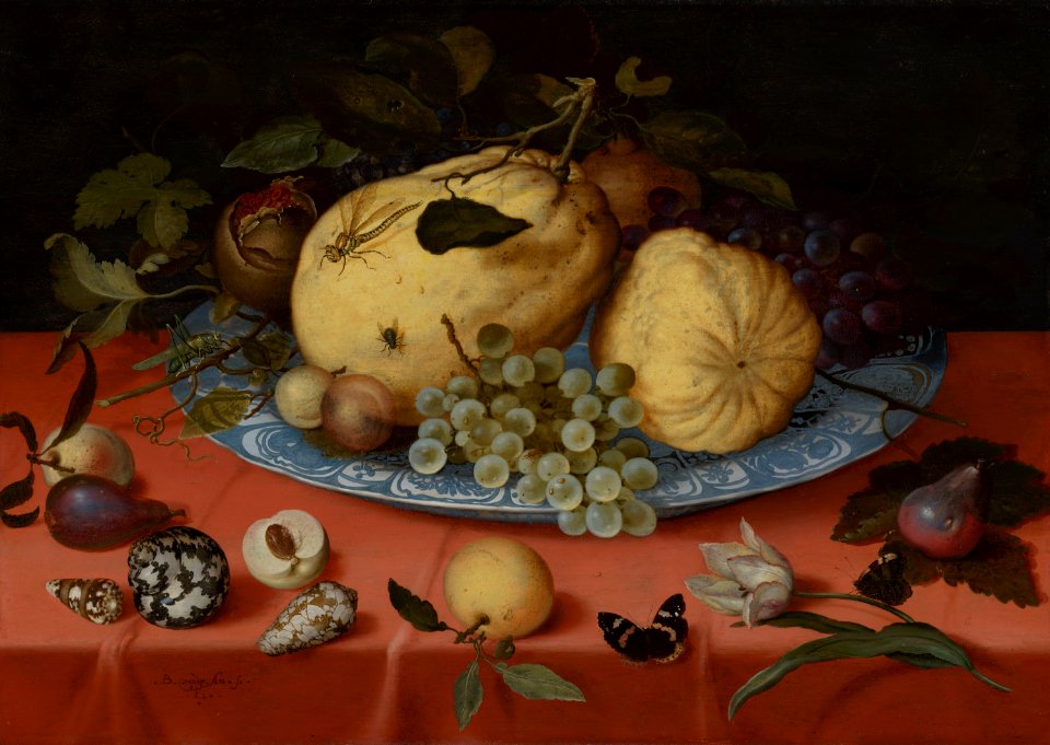Balthasar van der Ast - Fruit Still Life with Shells and Tulip - 1066 - Mauritshuis