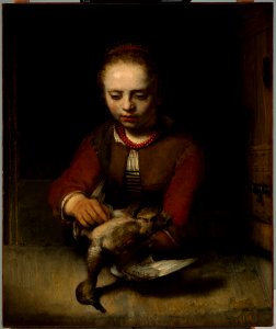 Barent Fabritius - Young Girl Plucking a Duck - 1963.149 - Dallas Museum of Art