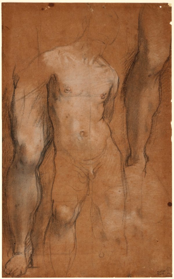 Barocci, Federico, Studies for Saint Sebastian, ca. 1592-96