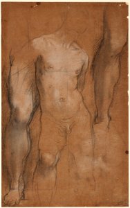 Barocci, Federico, Studies for Saint Sebastian, ca. 1592-96