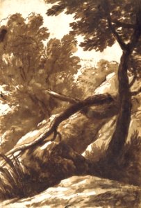 Bartolomeo Torregiani - Wooded Landscape - Google Art Project