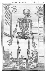 15 Charles Estienne 1545
