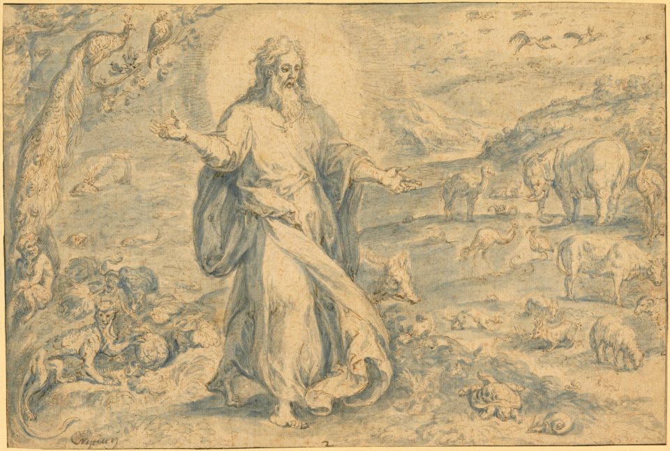 Chrispijn van den Broeck - The creation of the animals