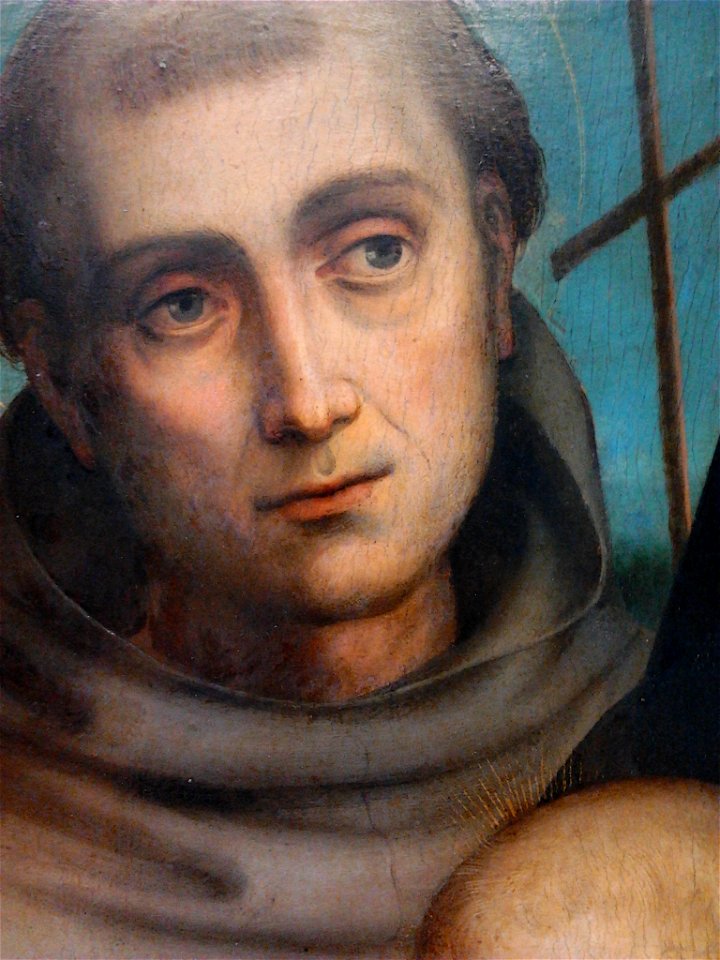 Francia Madonna and Child with Saint Francis (detail)