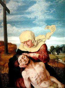 Bruyn Pieta