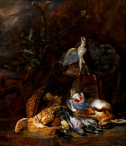 Pieter Boel - Hunting still life with wildfowl, a hare and a falcon. Free illustration for personal and commercial use.