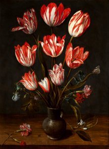 Jacob van Hulsdonck - Tulips and carnations in an earthenware vase. Free illustration for personal and commercial use.