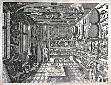 1655 - Frontispiece of Museum Wormiani Historia
