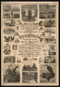 American agriculturist. Good things for everybody LCCN2003674213