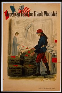 American Fund for French Wounded LCCN99613648