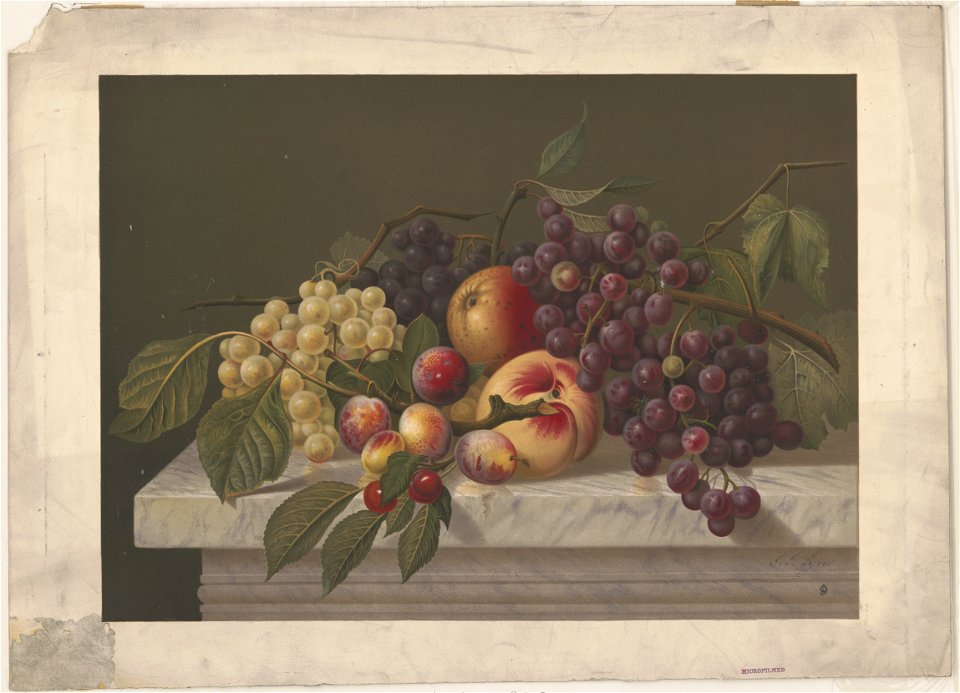 American grapes LCCN2004669678