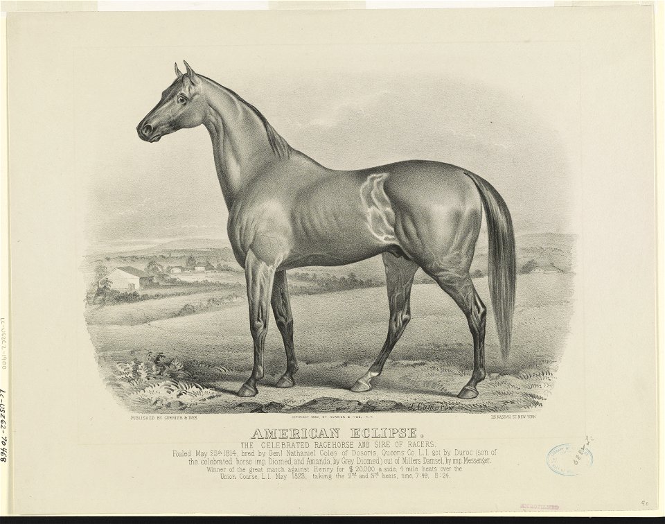 American eclipse- The celebrated racehorse and sire of racers LCCN90708502