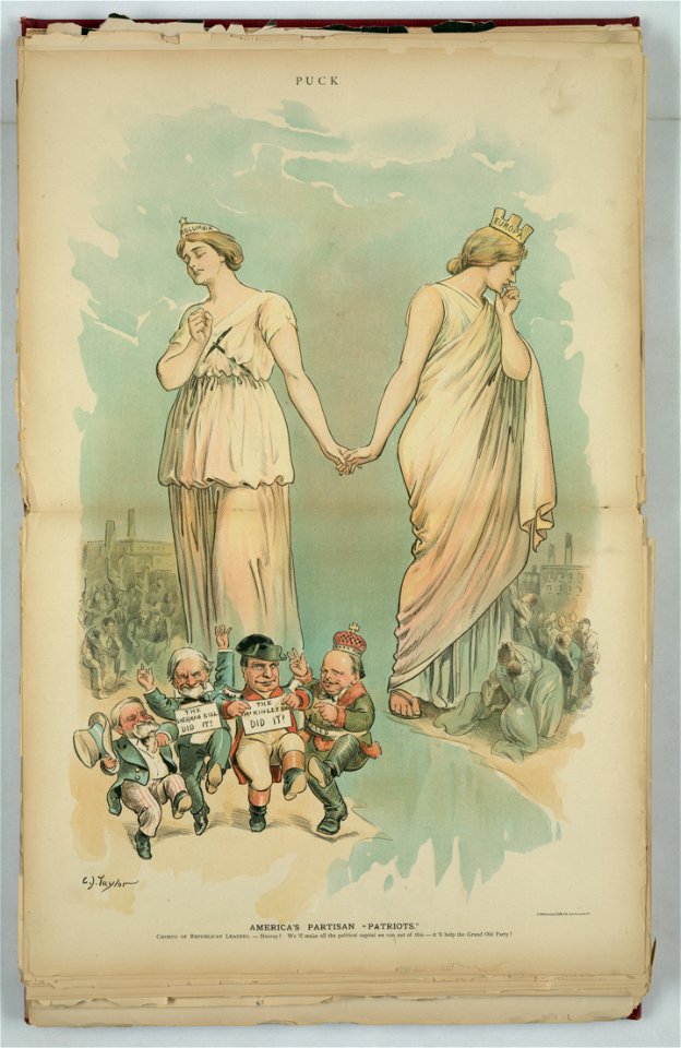 America's partisan patriots - C.J. Taylor. LCCN2012648751