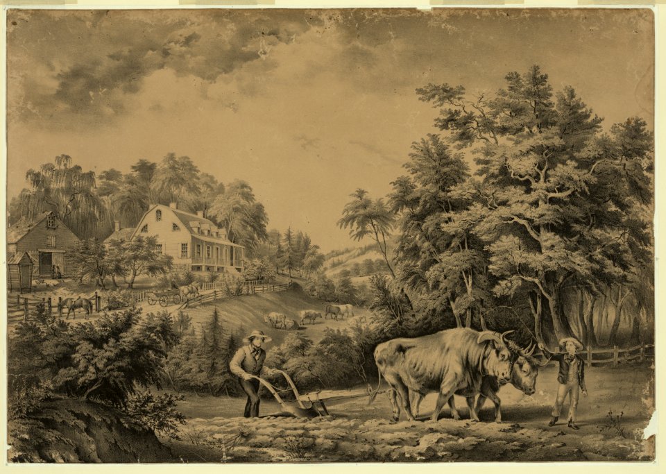 American farm scenes- No. 1 LCCN90708504