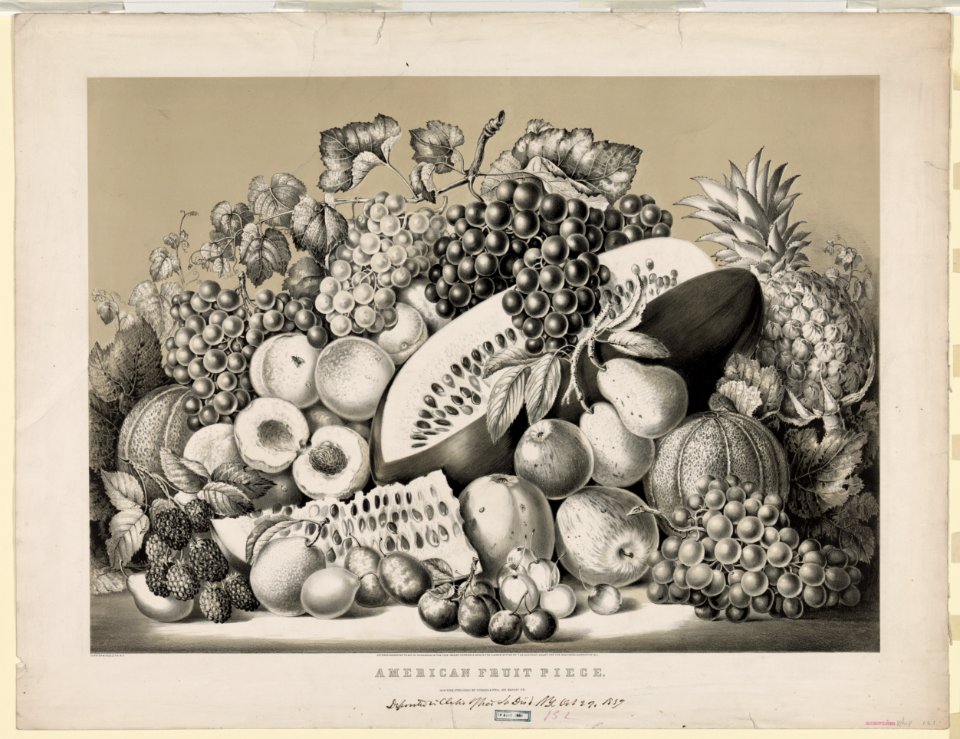 American fruit piece LCCN90708531