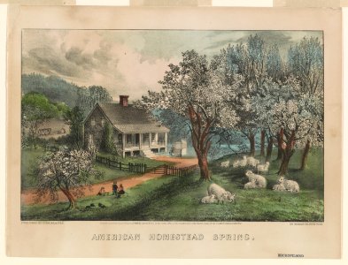 American homestead spring LCCN90708550
