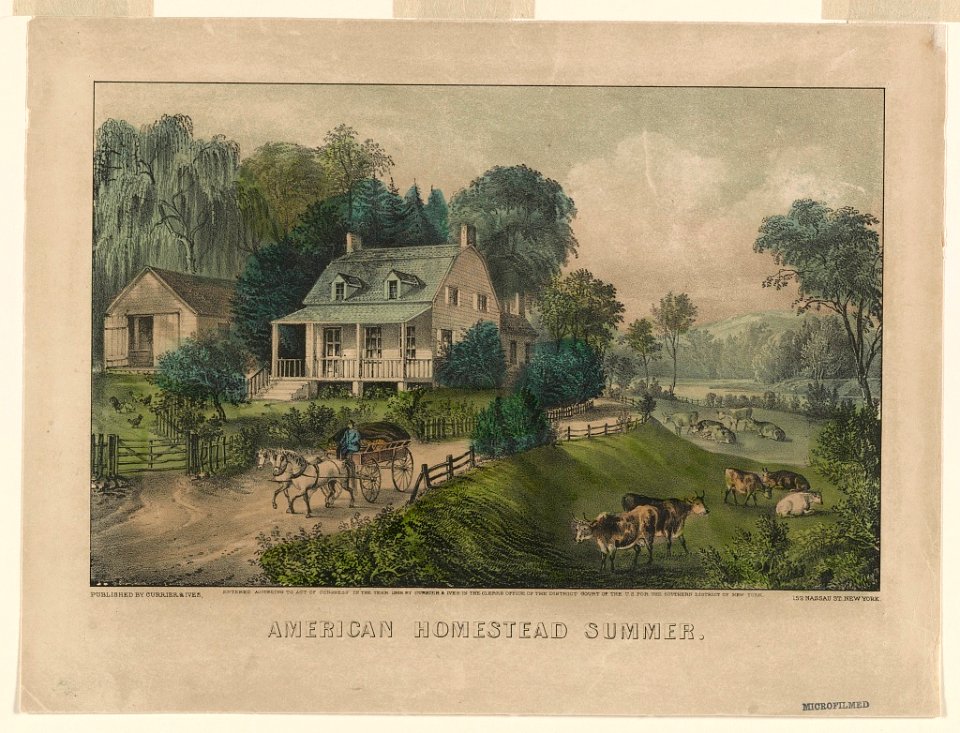 American homestead summer LCCN90708551