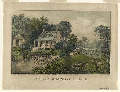 American homestead summer LCCN90708551